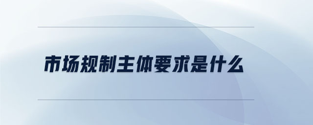 市場規(guī)制主體要求是什么