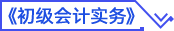 初級會計實務(wù)