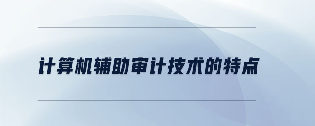 計算機(jī)輔助審計技術(shù)的特點