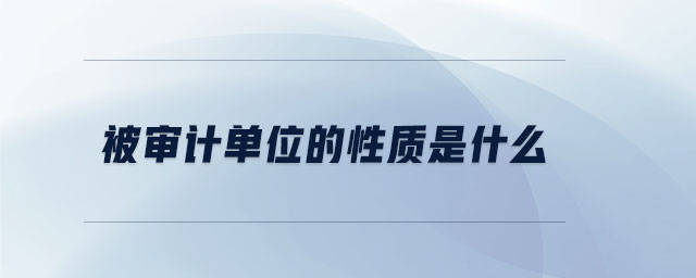 被審計(jì)單位的性質(zhì)是什么