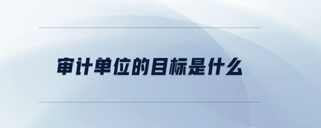 審計單位的目標(biāo)是什么