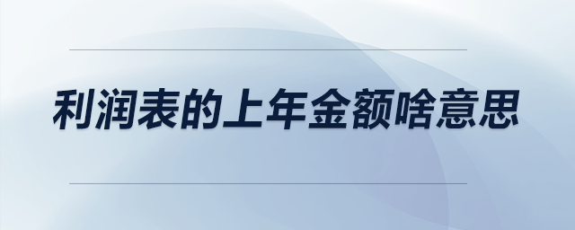 利潤(rùn)表的上年金額啥意思？