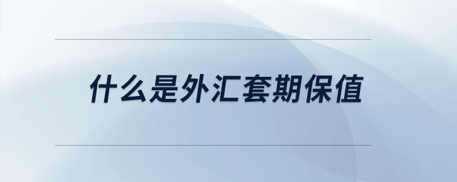 什么是外匯套期保值？
