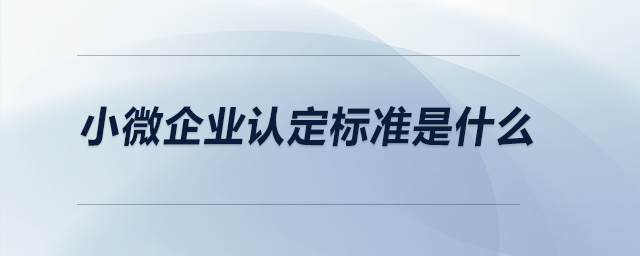 小微企業(yè)認(rèn)定標(biāo)準(zhǔn)是什么？