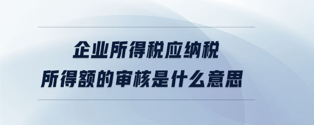 企業(yè)所得稅應納稅所得額的審核是什么意思