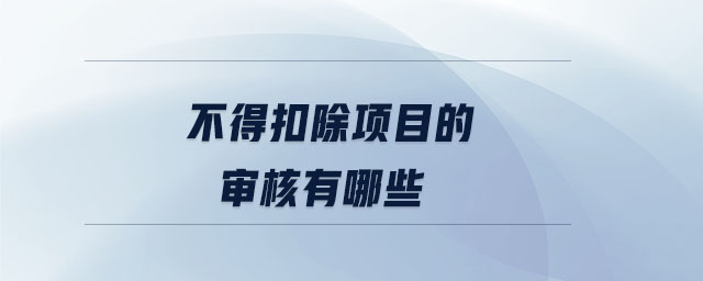 不得扣除項(xiàng)目的審核有哪些