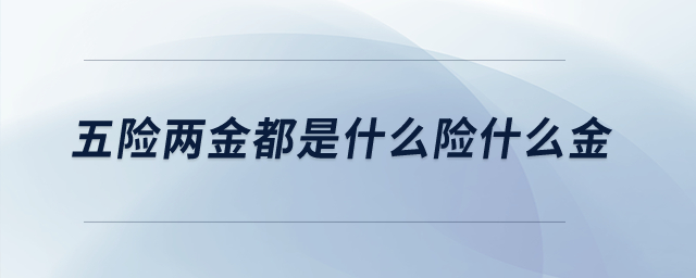 五險(xiǎn)兩金都是什么險(xiǎn)什么金？