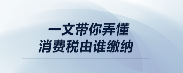 一文帶你弄懂消費稅由誰繳納！