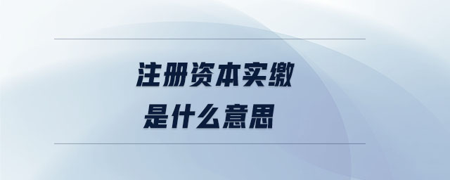 注冊資本實繳是什么意思