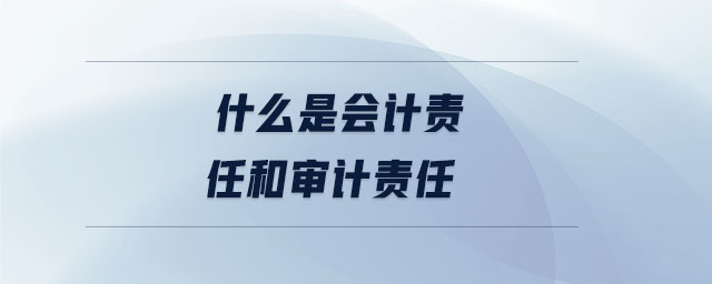什么是會(huì)計(jì)責(zé)任和審計(jì)責(zé)任