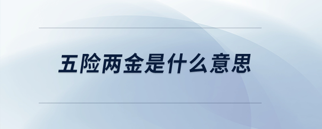 五險兩金是什么意思？