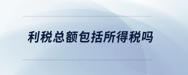 利稅總額包括所得稅嗎？