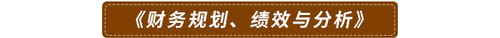 《財(cái)務(wù)規(guī)劃、績效與分析》