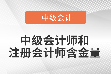 中級(jí)會(huì)計(jì)師和注冊(cè)會(huì)計(jì)師哪個(gè)含金量高？