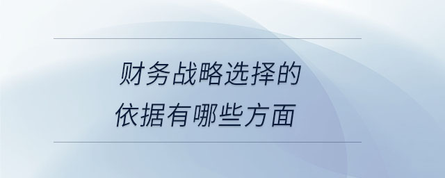 財務(wù)戰(zhàn)略選擇的依據(jù)有哪些方面