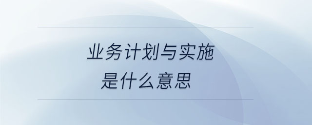 業(yè)務(wù)計劃與實施是什么意思