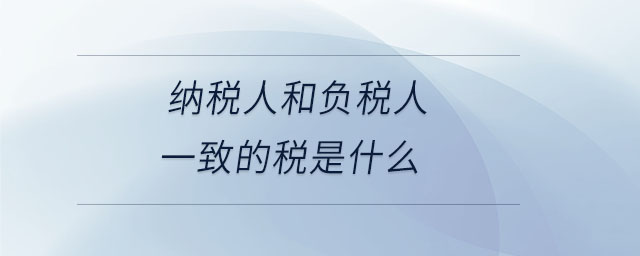 納稅人和負稅人一致的稅是什么