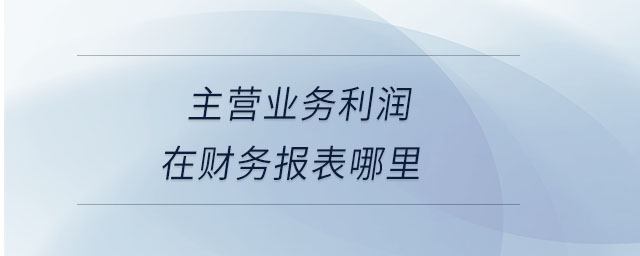 主營業(yè)務(wù)利潤在財(cái)務(wù)報(bào)表哪里