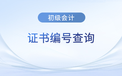 初級會計證書編號是哪個？在哪查詢？