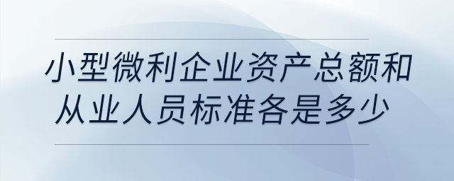 小型微利企業(yè)資產(chǎn)總額和從業(yè)人員標(biāo)準(zhǔn)各是多少？