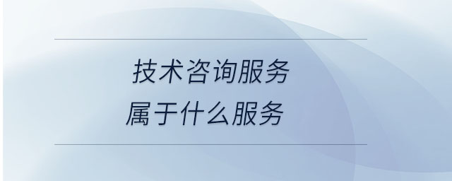 技術(shù)咨詢服務屬于什么服務