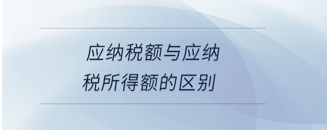 應納稅額與應納稅所得額的區(qū)別