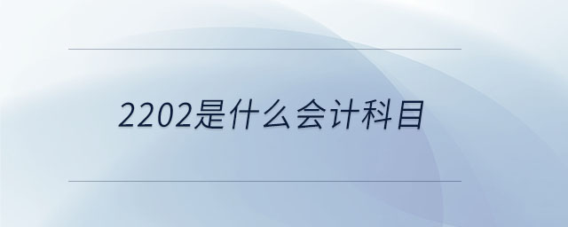 2202是什么會(huì)計(jì)科目
