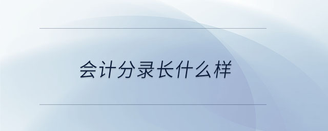 會計(jì)分錄長什么樣