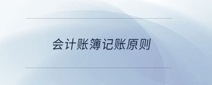 會計(jì)賬簿記賬原則