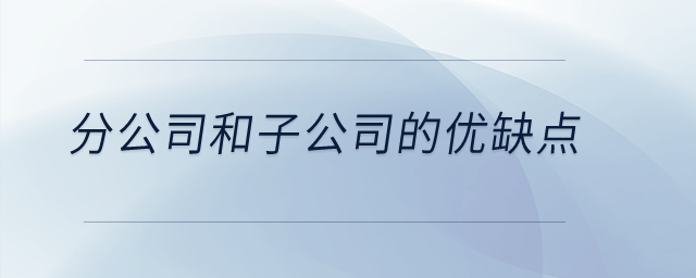 分公司和子公司的優(yōu)缺點(diǎn)？