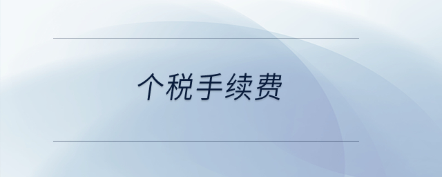 個稅手續(xù)費？