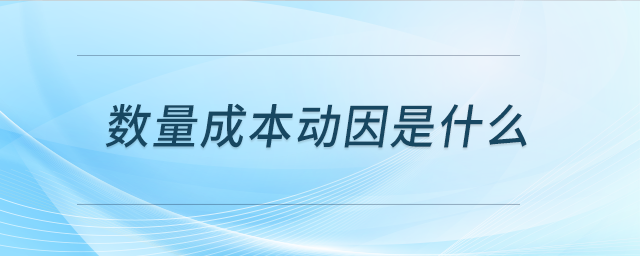 數(shù)量成本動(dòng)因是什么