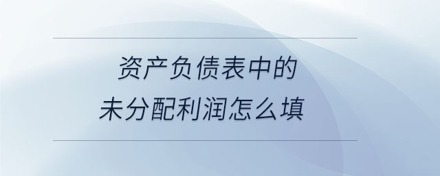 資產(chǎn)負(fù)債表中的未分配利潤怎么填