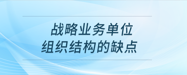 戰(zhàn)略業(yè)務單位組織結構的缺點
