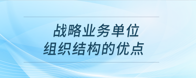 戰(zhàn)略業(yè)務(wù)單位組織結(jié)構(gòu)的優(yōu)點