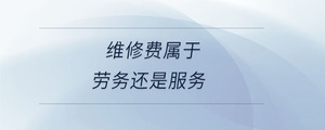 維修費屬于勞務(wù)還是服務(wù)