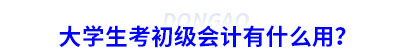 大學(xué)生考初級會計有什么用？