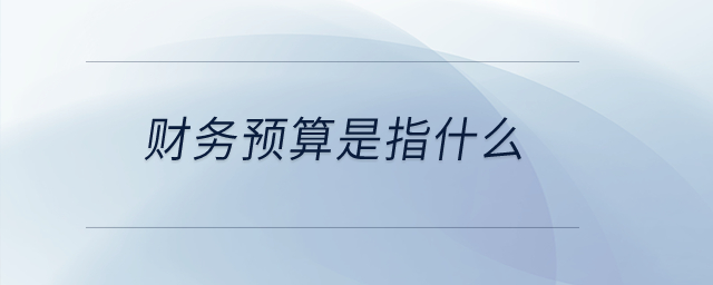 財(cái)務(wù)預(yù)算是指什么？