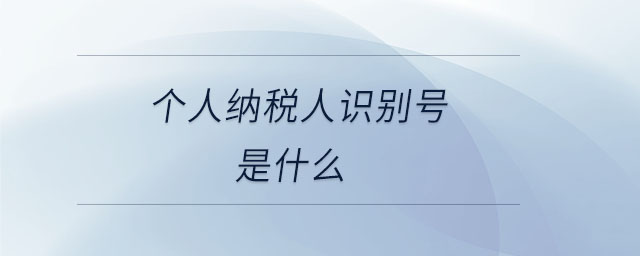 個(gè)人納稅人識(shí)別號(hào)是什么