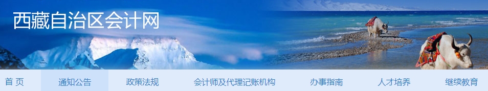 西藏高級會計(jì)師
