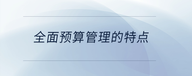 全面預(yù)算管理的特點？