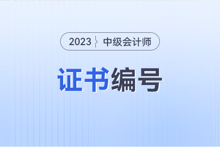 中級(jí)會(huì)計(jì)職稱證書編號(hào)是管理號(hào)嗎？誰能解答一下？