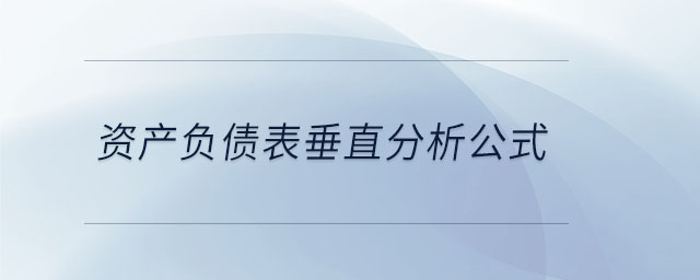 資產(chǎn)負債表垂直分析公式