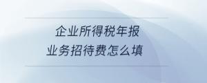 企業(yè)所得稅年報業(yè)務招待費怎么填