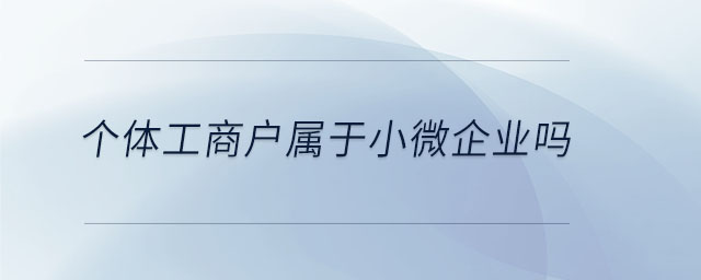 個體工商戶屬于小微企業(yè)嗎
