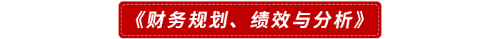 《財務規(guī)劃、績效與分析》