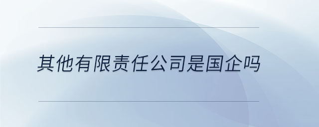 其他有限責(zé)任公司是國(guó)企嗎