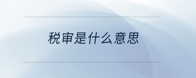 稅審是什么意思？