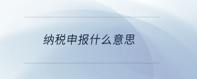 納稅申報(bào)什么意思