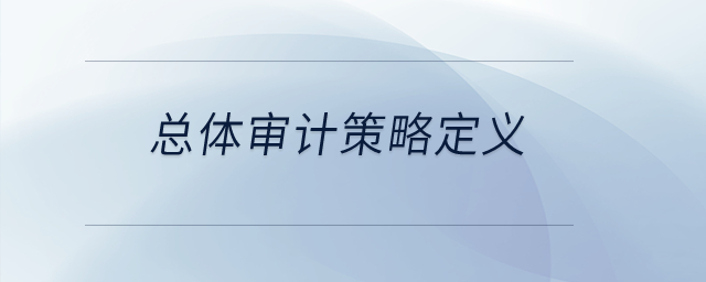 總體審計策略定義？